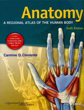 Anatomy: A Regional Atlas of the Human Body