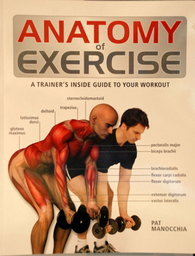 Anatomy of exercise - A trainers inside guide to your workout