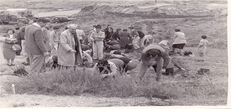 היום לפני 68 שנה: נטיעות ראשונות במכון וינגייט
