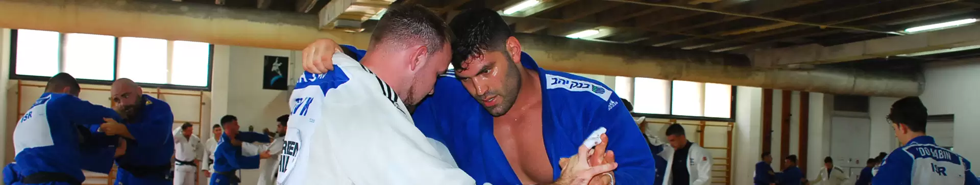 באנר דסקטופ אורי ששון